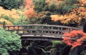 Bridge photograph by Bryan Mullennix