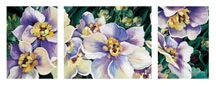 Kelemen, Tres Fleur Violeto