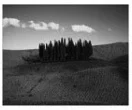 Toscana I, O’Mara